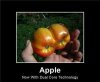 apple dual core.jpg