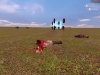 facewan_hugeflatmap_v40490.jpg